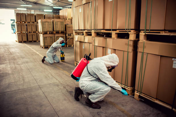 Pest Prevention Services in Shady Hollow, TX