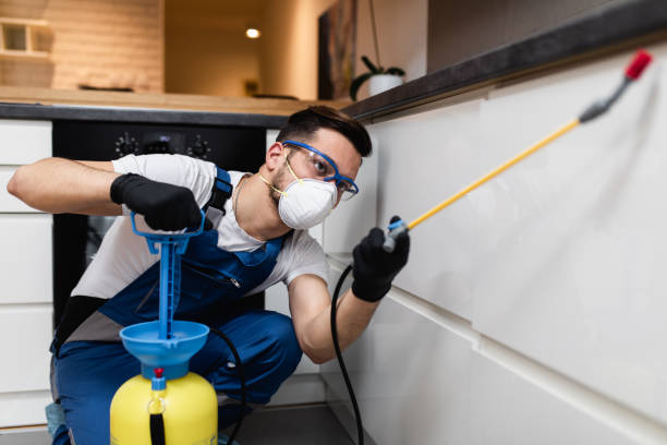 Best Affordable Pest Control Services  in Shady Hollow, TX