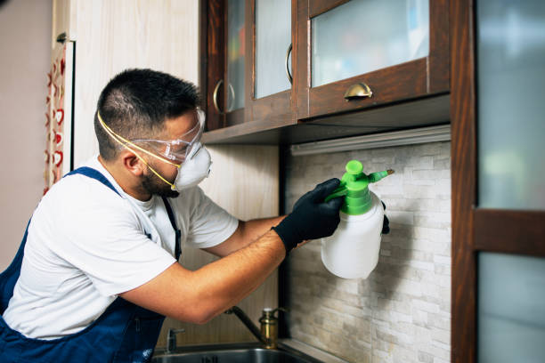 Best Emergency Pest Control  in Shady Hollow, TX