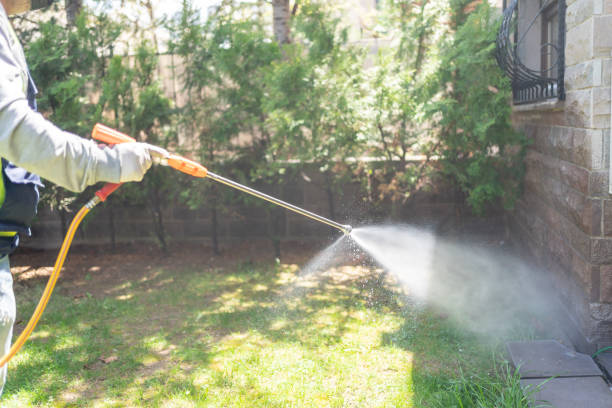 Best Pest Inspection Near Me  in Shady Hollow, TX