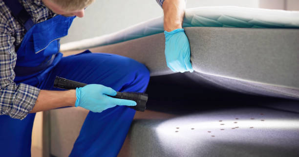 Best Commercial Pest Control Services  in Shady Hollow, TX