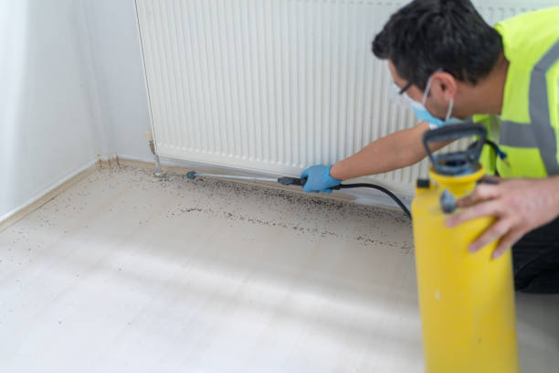 Best Mosquito Control Services  in Shady Hollow, TX